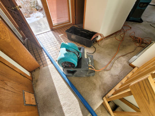 Best Water damage contractors near me  in Canton, TX