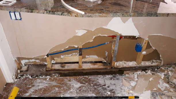Best Water damage contractors near me  in Canton, TX