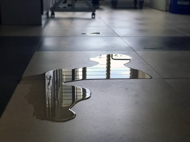 Best 24-hour water damage restoration  in Canton, TX