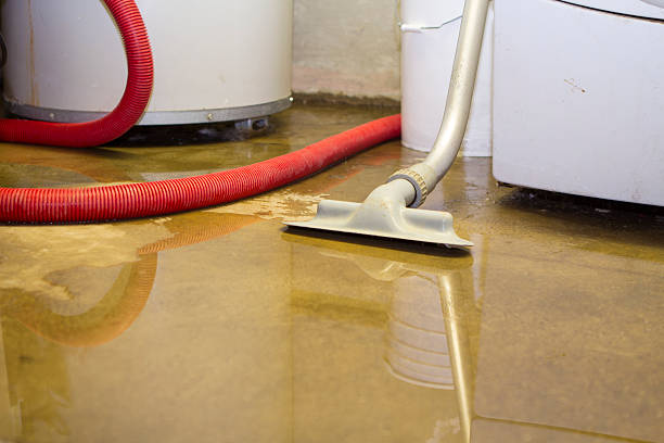 Best Water damage restoration insurance claims  in Canton, TX