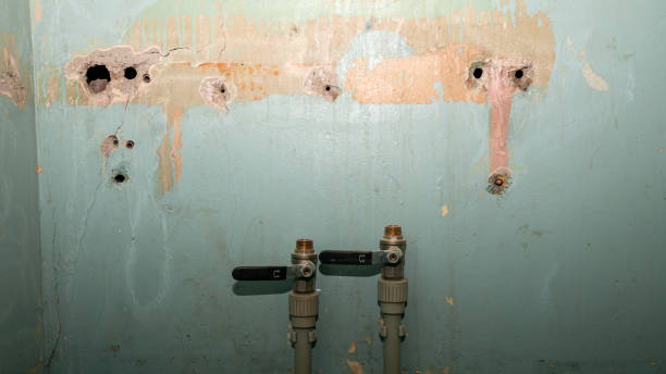 Water damage restoration mold remediation in Canton, TX